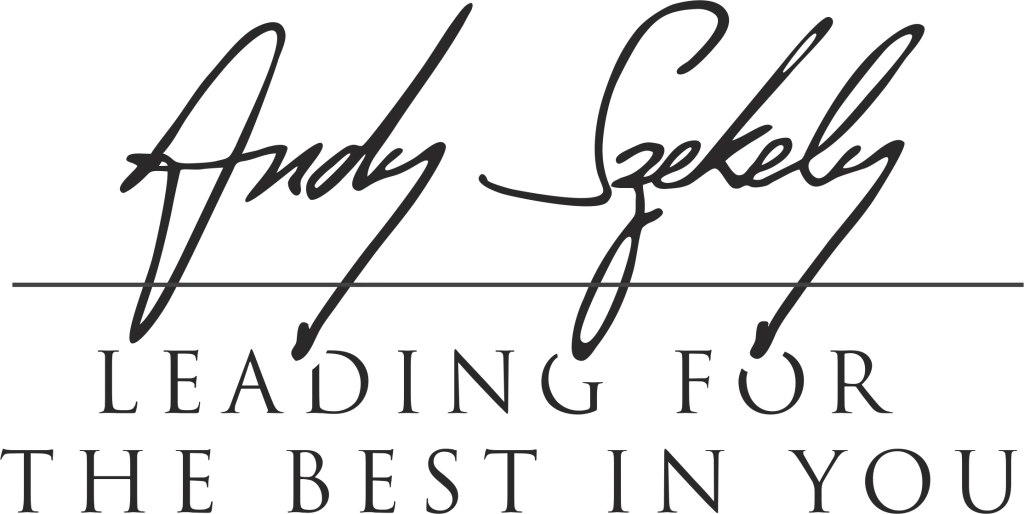 Logo du partenaire: Andy Szekely - Leading for the best in you
